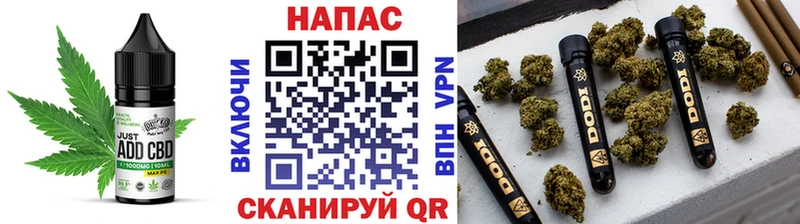 гидра зеркало  Владимир  Cannafood марихуана 