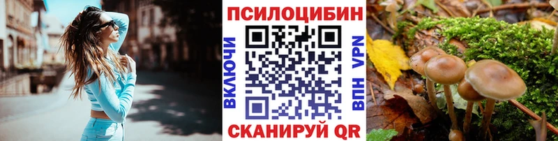 Галлюциногенные грибы Psilocybe Владимир