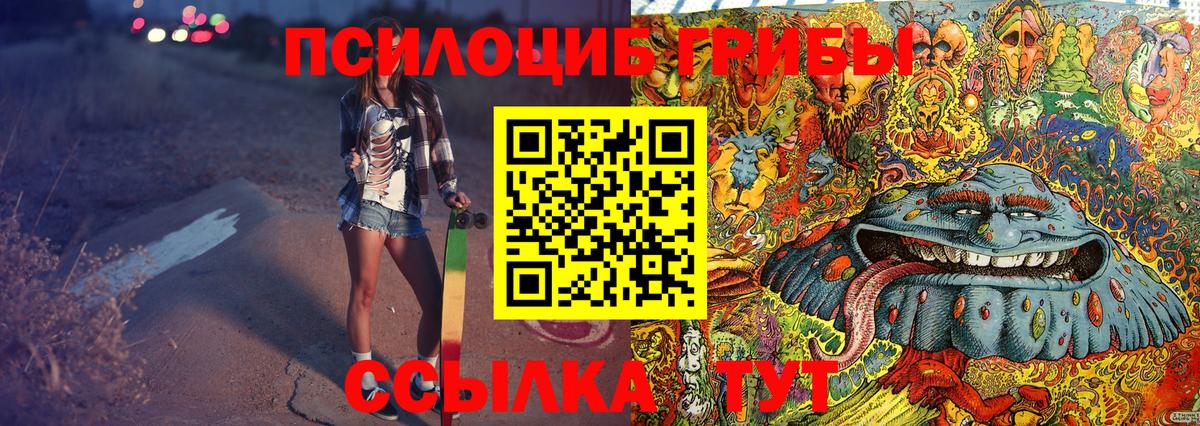 Бошки Шишки Владимир