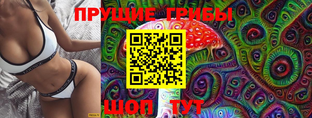 Псилоцибиновые грибы MAGIC MUSHROOMS  Вход с VPN  Владимир 
