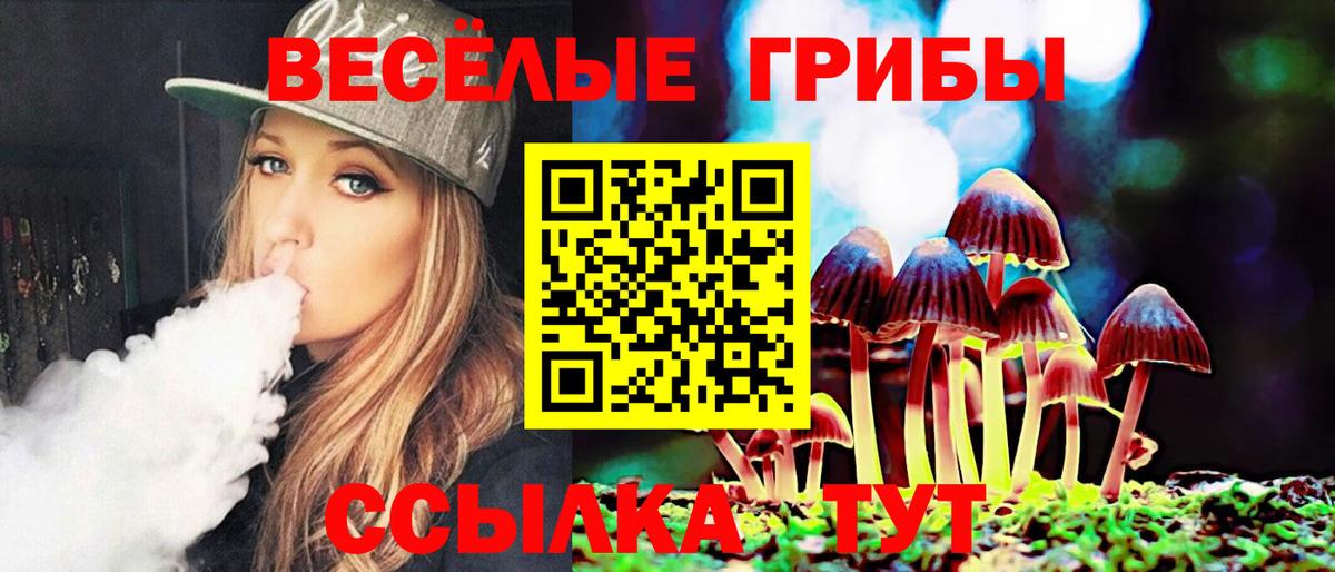 Псилоцибиновые грибы Cubensis Владимир